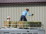 ANOTHER DAY AT THE HORSE show