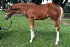 Oakley